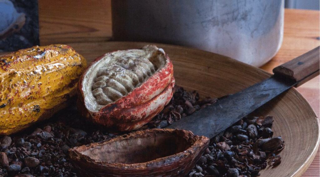 Kakao Zeremonie Kakaofrucht und Kakaobohnen