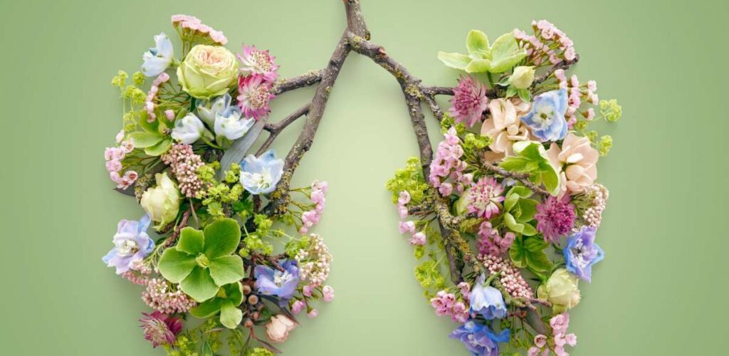 Zitate und Sprüche zum Atmen. Lunge aus Blättern und Blüten im Frühling.